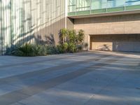 Los Angeles, California: Hard Shadows on Concrete