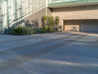 Los Angeles, California: Hard Shadows on Concrete