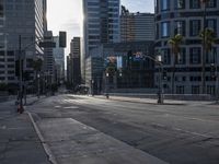 an empty street with a very tall building in the background and palm trees and buildings on either side of the road