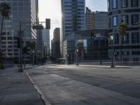 an empty street with a very tall building in the background and palm trees and buildings on either side of the road