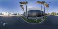 an oval object sits near palm trees on the street in front of a white building