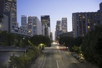 Los Angeles, California: Nighttime Cityscape of the Metropolis