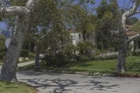 Residential Area in Los Angeles, California