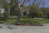 Residential Area in Los Angeles, California