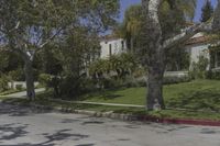 Residential Area in Los Angeles, California