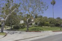 Residential Area in Los Angeles, California