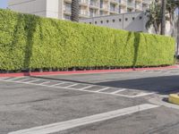 the large green bushes are growing next to the building on the corner of a street