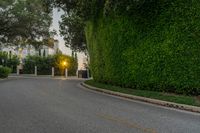 Los Angeles, California: Road, Asphalt, Hedges (001)