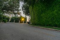 Los Angeles California Road with Asphalt and Hedges