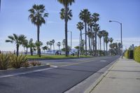 Los Angeles, California: Road with Palm Trees