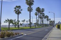 Los Angeles California Road with Palm Trees 002