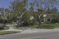 Los Angeles, California: Road in a Residential Area