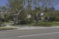 Los Angeles, California: Road in a Residential Area