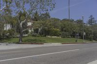 Los Angeles, California: Road in a Residential Area