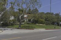 Los Angeles, California: Road in a Residential Area