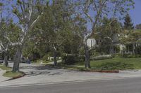 Los Angeles, California: Road in a Residential Area