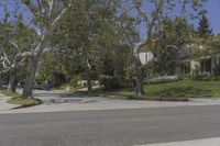 Los Angeles, California: Road in a Residential Area