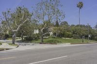 Los Angeles, California: Road in a Residential Area