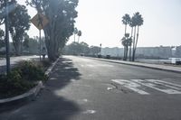 Los Angeles, California: Sun-Drenched Streets