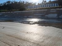 a skateboard sits in the water of a river with sun reflecting off of it