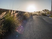 Los Angeles, California, USA: Coastal Road with Beautiful Views