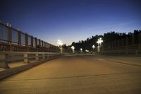 street lights from vehicle on overpass overlooking trees at dusk at dusk in background, blurry image