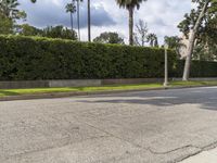 a man riding a skateboard down the middle of a street near a hedge wall