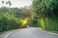 Los Angeles, California, USA: A Road Through the Lush Landscape