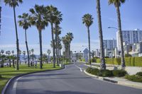 Los Angeles California USA Road with Palm Trees