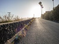 a paved road next to trees with the sun setting on the horizon behind it and two palm trees at either side