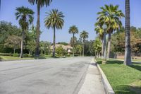 Los Angeles, California, USA: Suburban Road on a Sunny Day