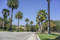 Los Angeles, California, USA: Suburban Road on a Sunny Day