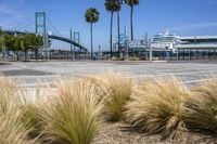 Urban Landscape of Los Angeles, California, USA