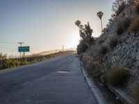 a paved road on an empty mountain side at sunset at sunset time with two trees at top and sign showing way for cars