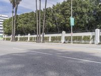 Los Angeles City: Day on the Asphalt Road