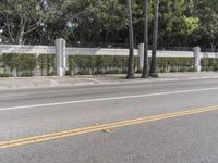 Los Angeles City: Day on the Asphalt Road