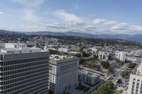 Los Angeles City: Day Skyline View