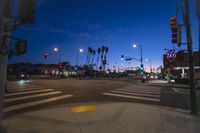 intersection with lights on and palm trees at night, near buildings and roadway intersection for pedestrian and traffic control