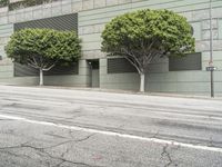 two trees are growing along a city street while one is waiting for a traffic signal