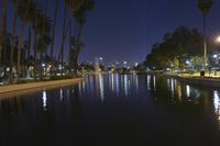 the night sky is blue and clear, and reflecting lights and palm trees are in the water