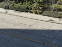 Los Angeles City Road with Buildings and Trees