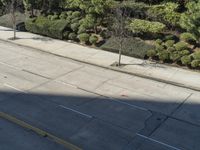 Los Angeles City Road with Buildings and Trees