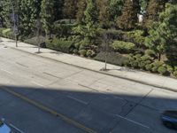 Los Angeles City Road with Buildings and Trees