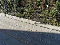 Los Angeles City Road with Buildings and Trees