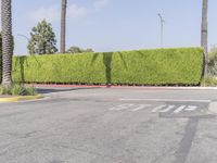 Los Angeles City Road with Clear Sky