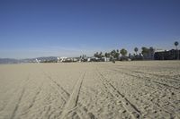 people walk on sand at a beach, near the ocean in the distance is a sky with few cloudless, and blue skies