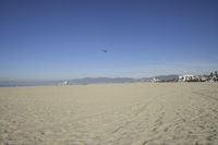 people walk on sand at a beach, near the ocean in the distance is a sky with few cloudless, and blue skies