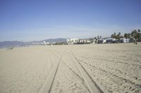 people walk on sand at a beach, near the ocean in the distance is a sky with few cloudless, and blue skies