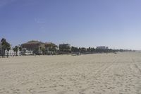 people walk on sand at a beach, near the ocean in the distance is a sky with few cloudless, and blue skies