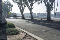 Los Angeles City Road with Water and Woody Plants